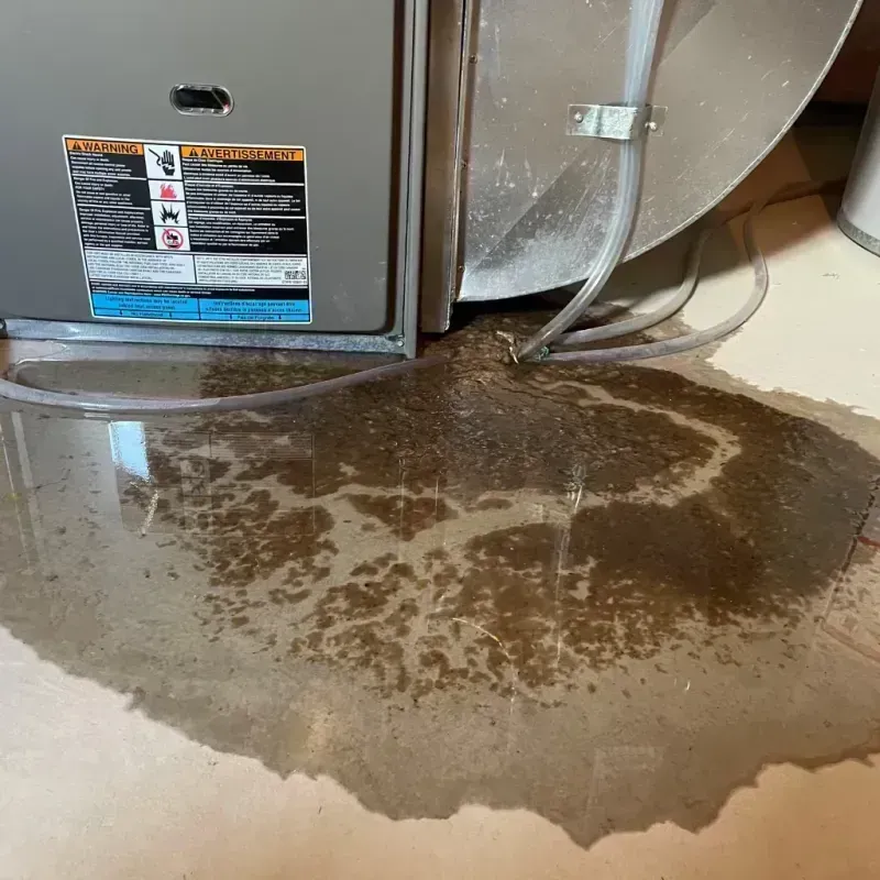 Appliance Leak Cleanup in Highgrove, CA